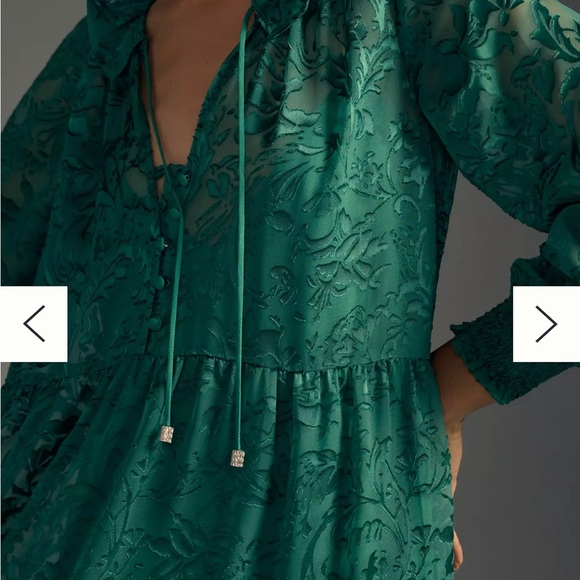 The Marais Maxi Dress: Satin-Burnout Edition in Green - Picture 4 of 7